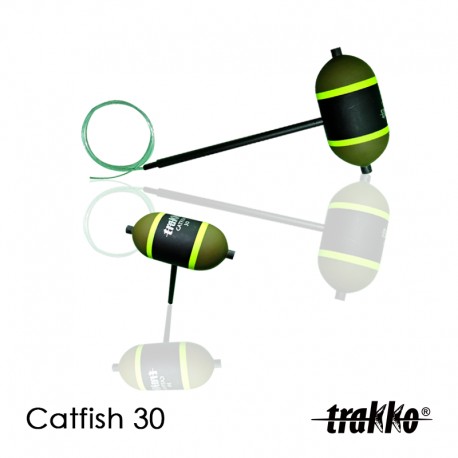 PLUTA CATFISH