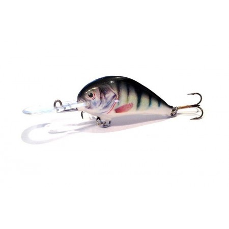 DORADO BLAGIER 3.5CM K2